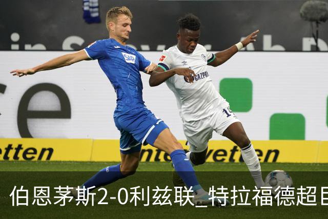 伯恩茅斯2-0利兹联 特拉福德超巨失误 埃瓦尼尔森&阿德利破门